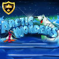 ARCTIC WONDERS